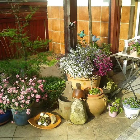 Andante Πανσιόν Špindlerŭv Mlýn