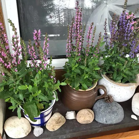 Andante Πανσιόν