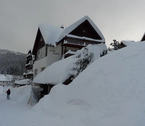 Andante Špindlerŭv Mlýn