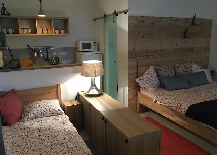 Andante Špindlerŭv Mlýn