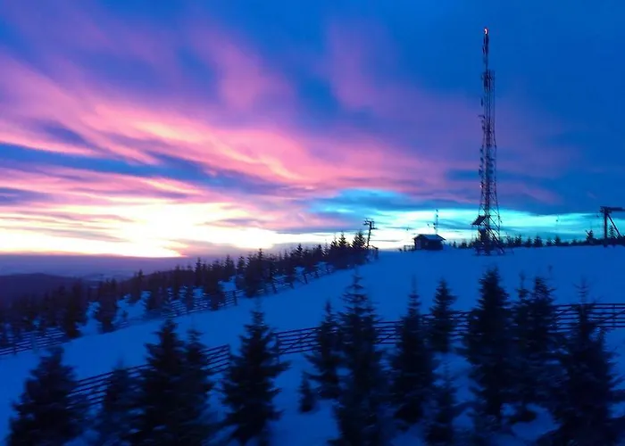 Maison d'hôtes Andante