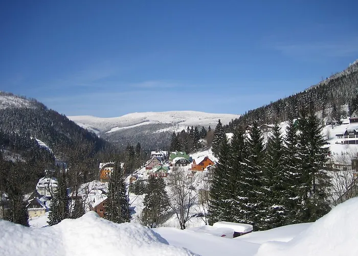 Maison d'hôtes Andante