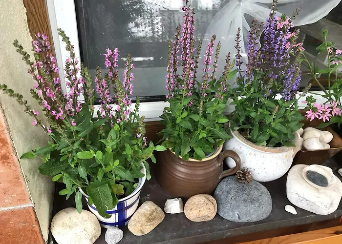 Andante Maison d'hôtes